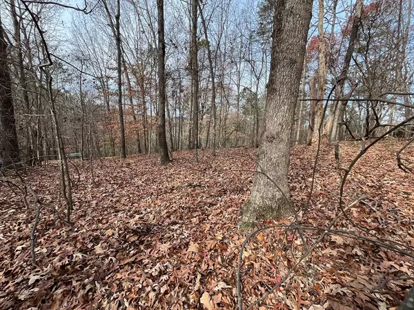 LOT 240 Crestview Drive S, Ellijay, GA 30540