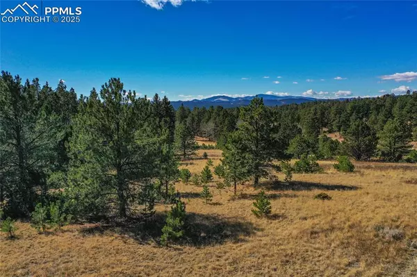 Florissant, CO 80816,2756 County Road 421