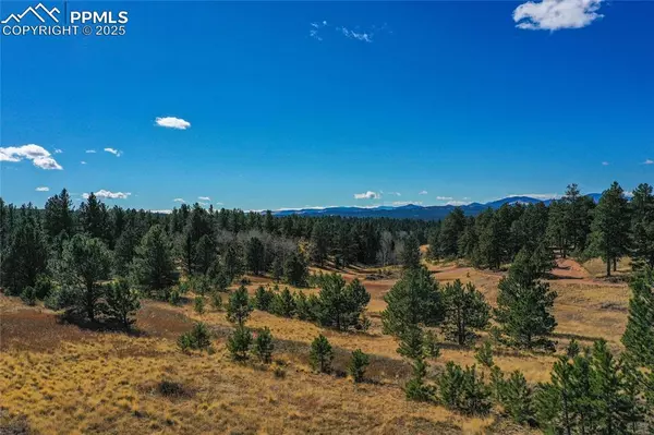 Florissant, CO 80816,2756 County Road 421