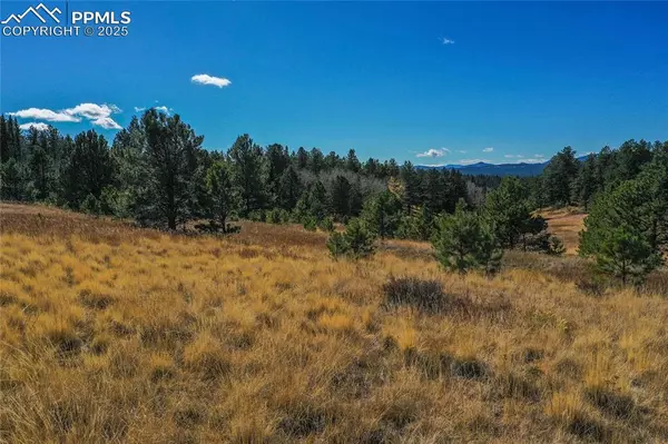 Florissant, CO 80816,2756 County Road 421