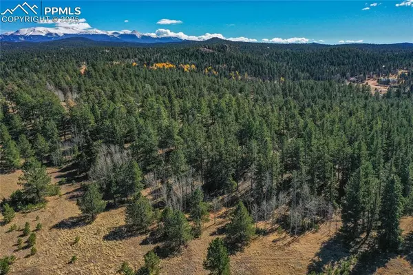 Florissant, CO 80816,2756 County Road 421