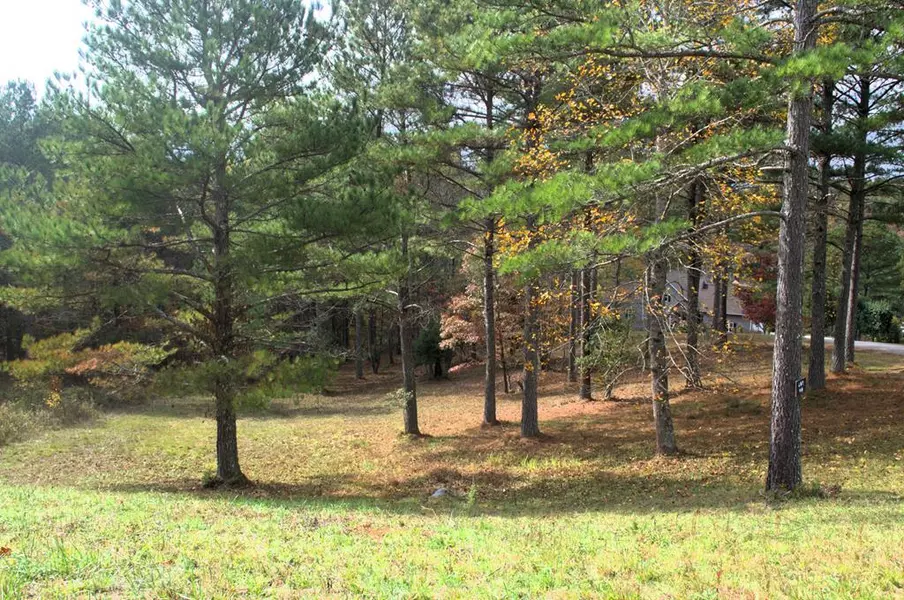 Lot 40 Pinehurst, Blairsville, GA 30512