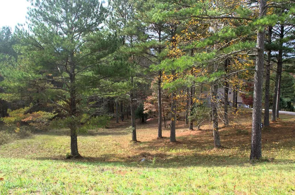 Blairsville, GA 30512,Lot 40 Pinehurst