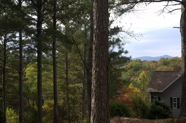 Blairsville, GA 30512,Lot 40 Pinehurst