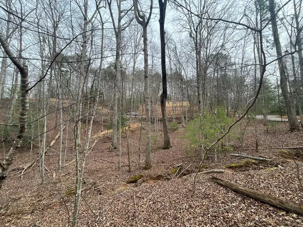 Ellijay, GA 30540,Lot 618 Charity Court