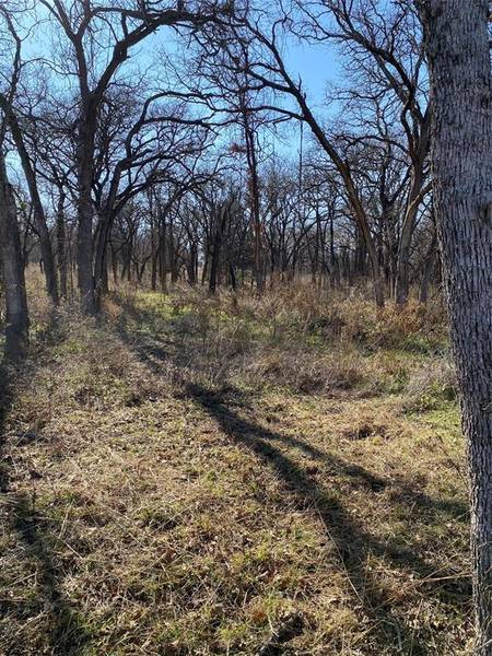 115 Banjo, Alvord, TX 76225