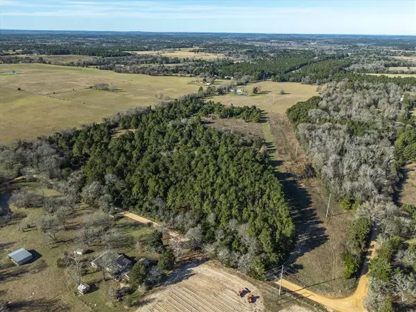 Grapeland, TX 75844,TBD County Road 1890