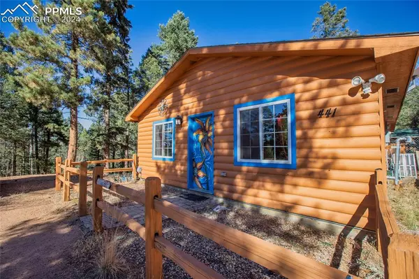 Florissant, CO 80816,441 Paint Pony LN