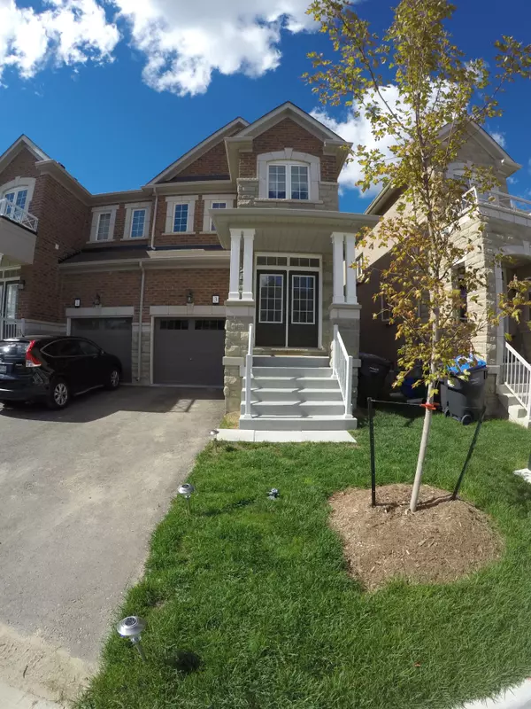 3 Baffin CRES #(BSMT), Brampton, ON L7A 0A9