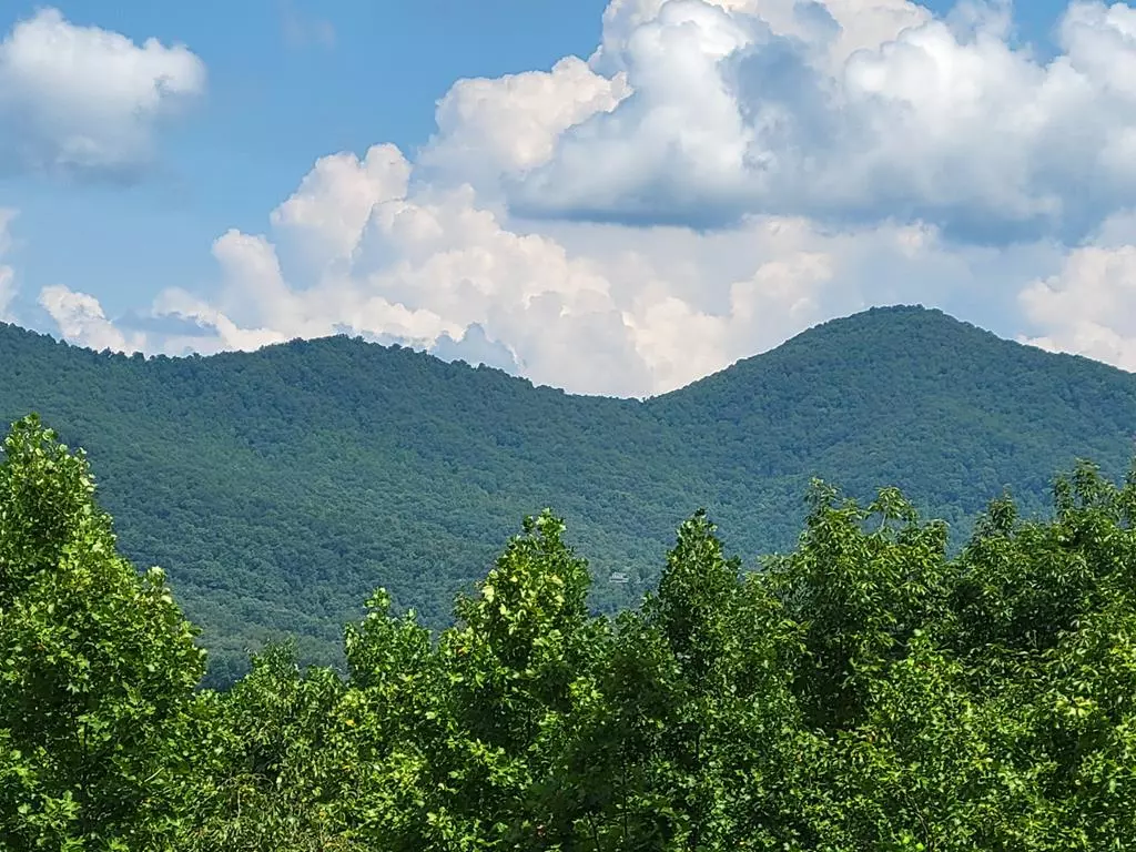 Blairsville, GA 30512,Lot149 The Mountain