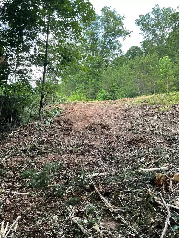 Blairsville, GA 30512,Lot 43 Pleasant Meadows