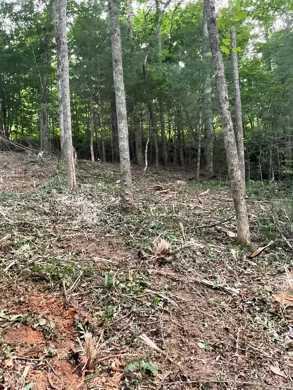 Blairsville, GA 30512,Lot 43 Pleasant Meadows