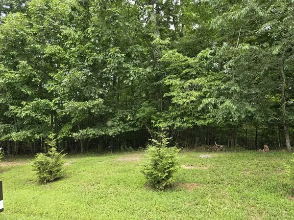 Blairsville, GA 30512,Lot149 The Mountain