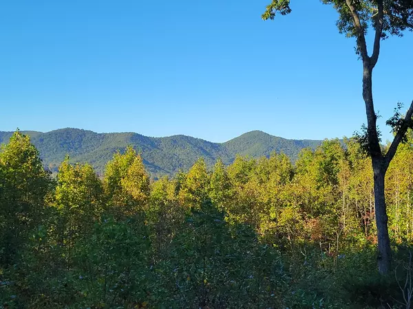 Blairsville, GA 30512,Lot149 The Mountain