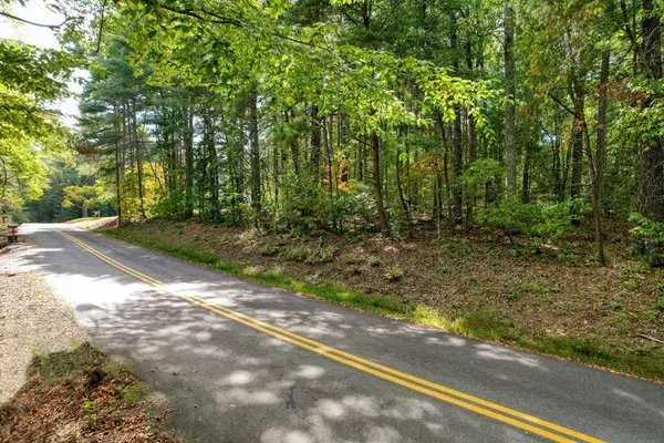 Blairsville, GA 30512,Lot 11 Lakemont