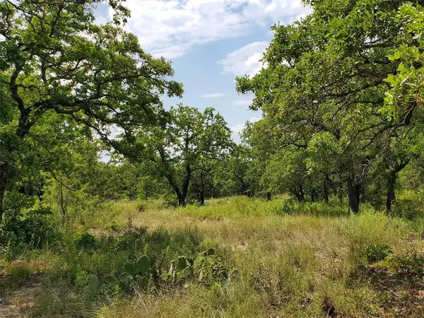 Cisco, TX 76437,TBD County Road 121