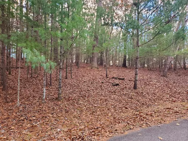 Blairsville, GA 30512,Lot 42 Arrowood Pointe