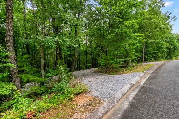 LOT 9-10 Abbott Mill Road, Ellijay, GA 30540