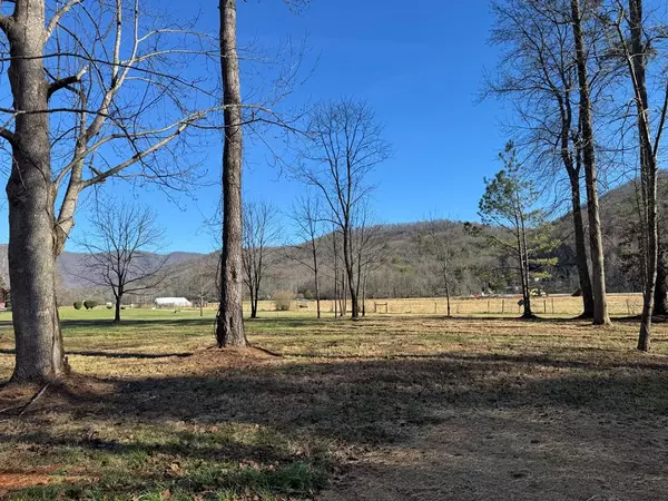 Hayesville, NC 28904,124 Mountain Meadows