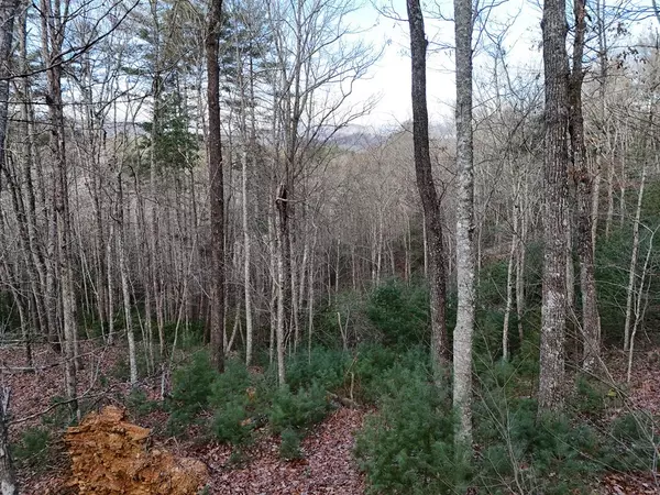 Lot 46 Walker Ridge Way, Mineral Bluff, GA 30559