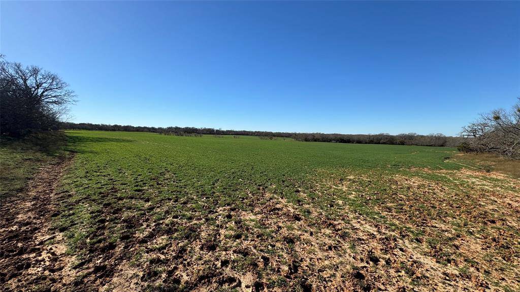 tbd WHITT Road, Perrin, TX 76486