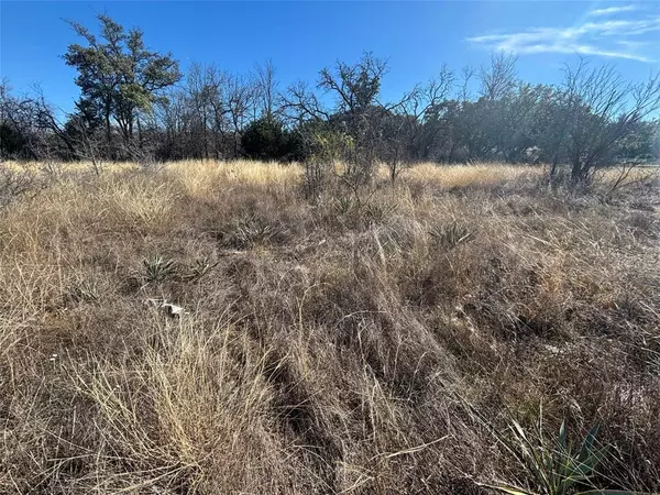 Brownwood, TX 76801,Lot 6 County Road 601