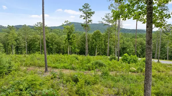 Lot 345 Timber Creek Trail,  Talking Rock,  GA 30175