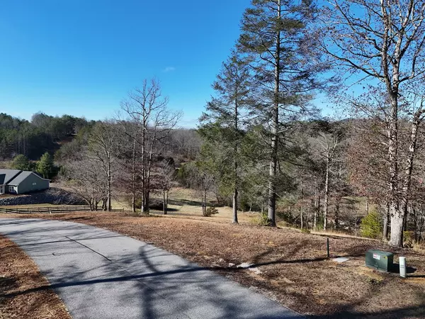 Blairsville, GA 30512,Lot 52 Madeline Way