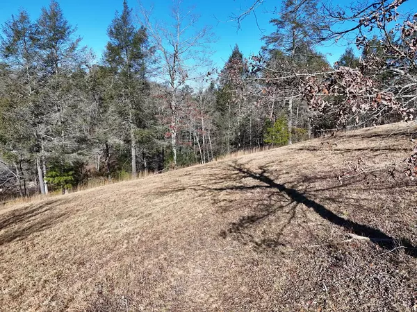 Blairsville, GA 30512,Lot 52 Madeline Way