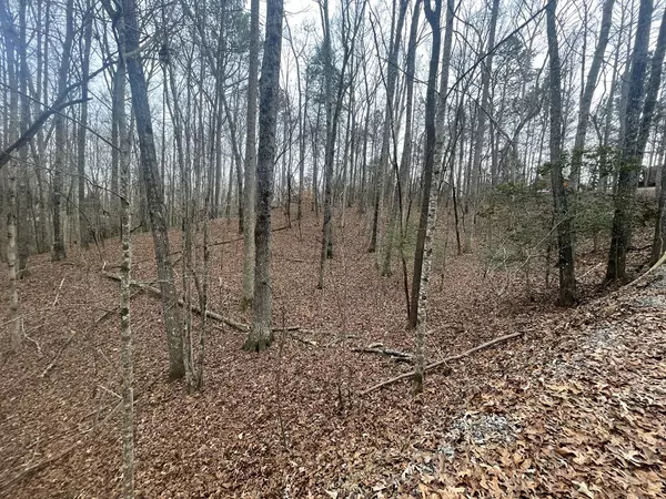 Ellijay, GA 30540,1456 Lot 1456 Pasha Dr