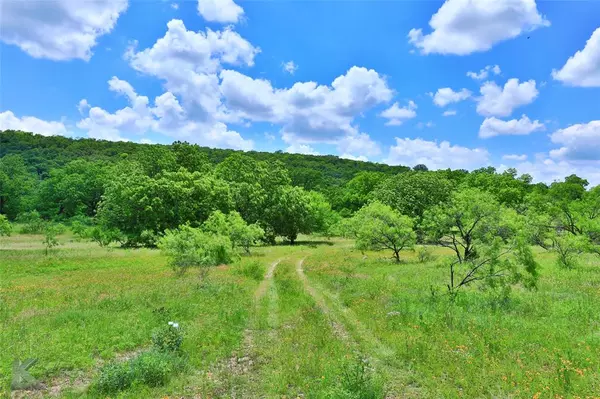 No City, TX 79510,0000 County Road 421