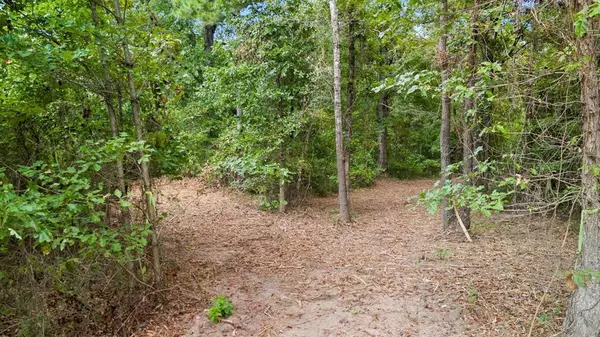 Gilmer, TX 75644,2nd Tract 10Ac Fm 852