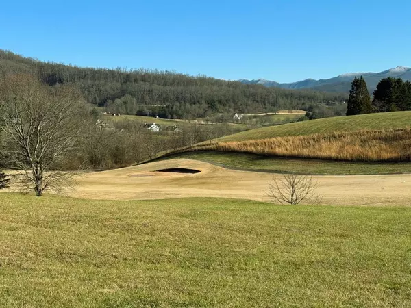 Hayesville, NC 28904,Lot 116A Mountain Harbour Drive