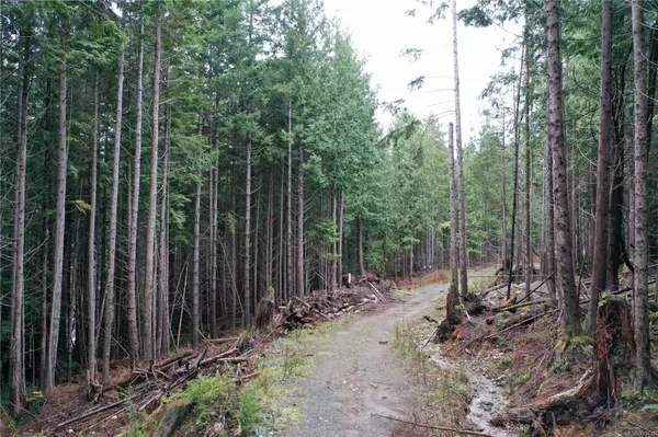 Campbell River, BC V9W 5C1,LOT 5 Discovery Passage (Off) Rd