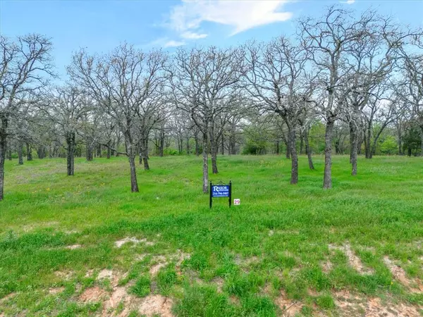 Weatherford, TX 76088,Lot 29 Vaquero Drive