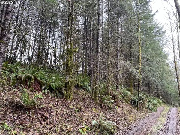 0 NE BUNCOMBE HOLLOW RD, Woodland, WA 98674