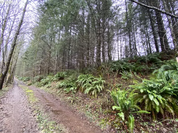 Woodland, WA 98674,0 NE BUNCOMBE HOLLOW RD