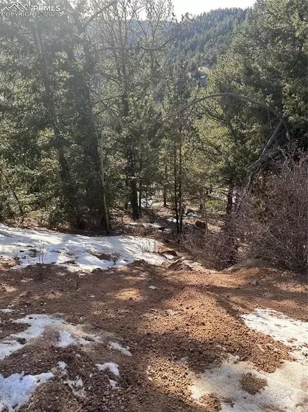 1600 Pikes Peak DR, Divide, CO 80814