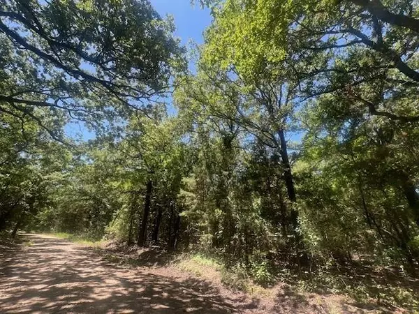 Sumner, TX 75486,TBD CR  36160