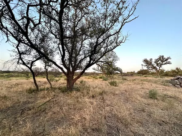 Goldthwaite, TX 76844,Lot14 N County Road 510