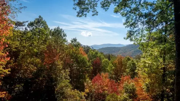 Cherry Log, GA 30522,587 Lower Prince Mountain Road