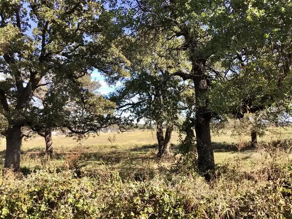 Brock, TX 76087,000 Old Brock Road