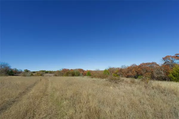 Forestburg, TX 76239,000 Dye Mound Road