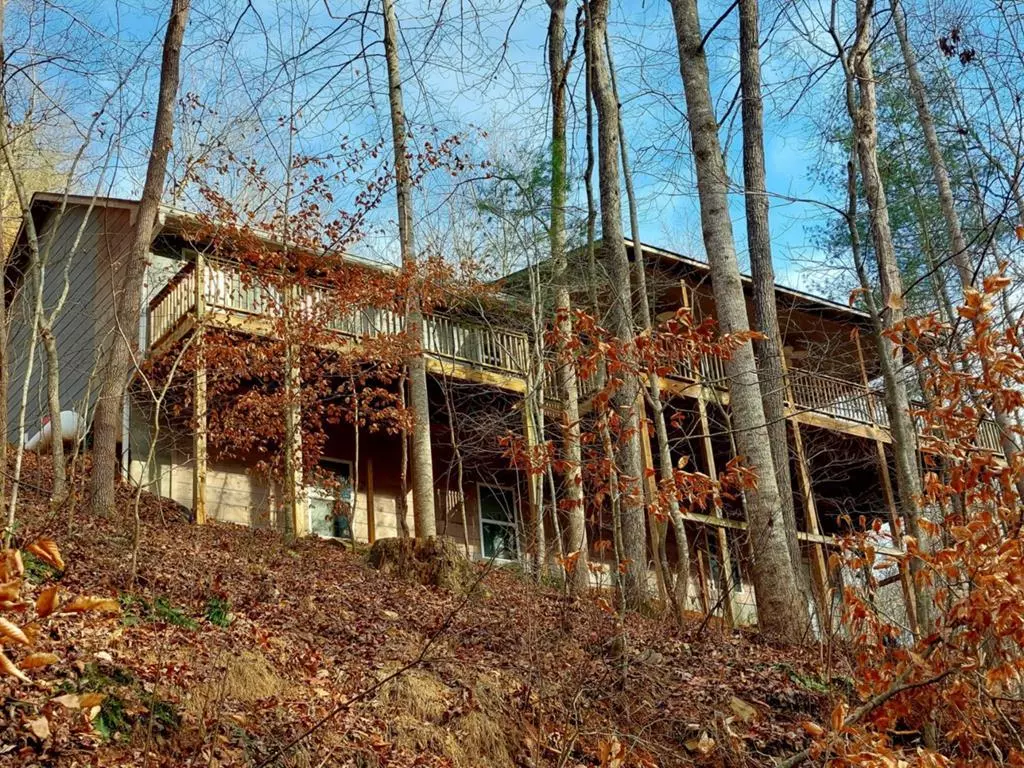 Ellijay, GA 30540,65 Dogwood Lane