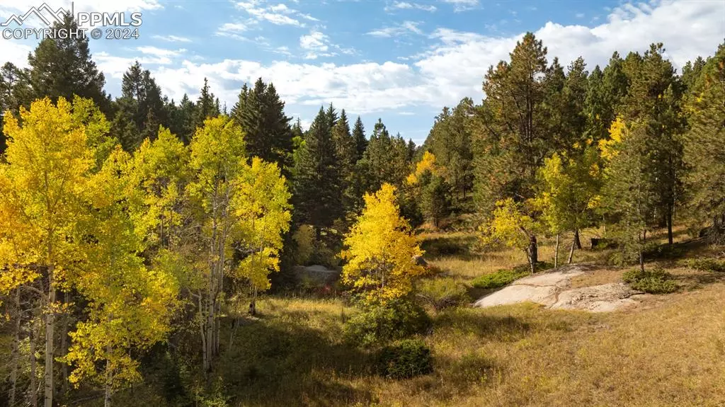 Rampart Range RD, Sedalia, CO 80138