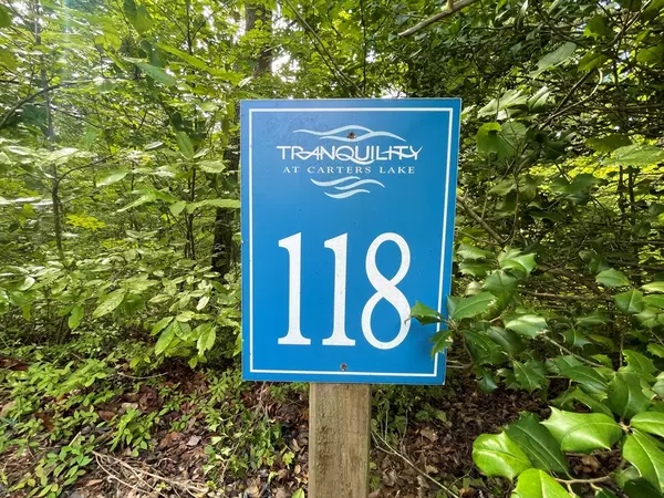 Ellijay, GA 30540,Lot 118 Beech Tree Drive