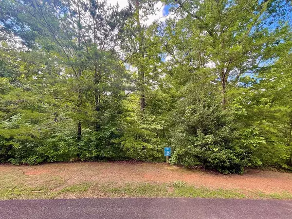 Ellijay, GA 30540,Lot 118 Beech Tree Drive