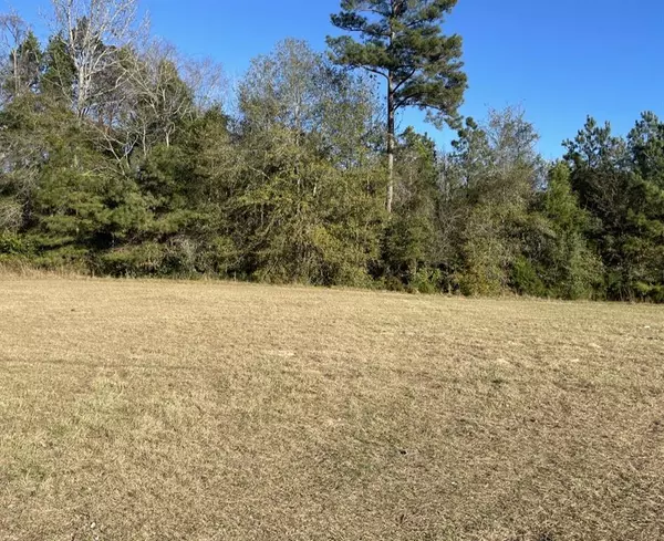 Coushatta, LA 71019,0 Jenny Lane Lot 9