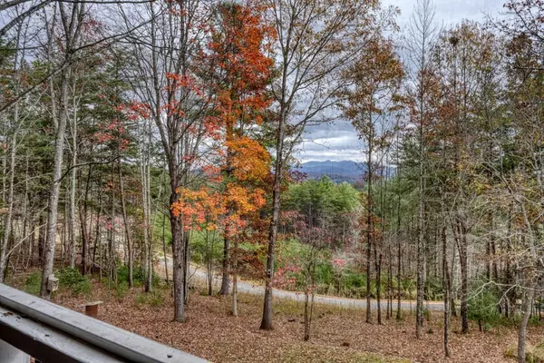 Blairsville, GA 30512,588 Rocky Top Heights Road