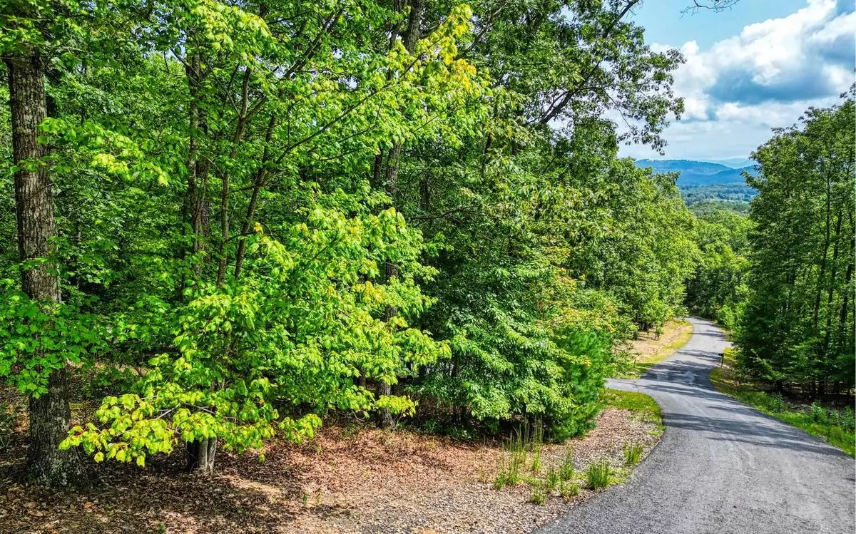 Blairsville, GA 30512,LOT 6 Sheep Stomp Road